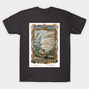 Marrubium & Gingidium - Flowers - Physica Sacra T-Shirt